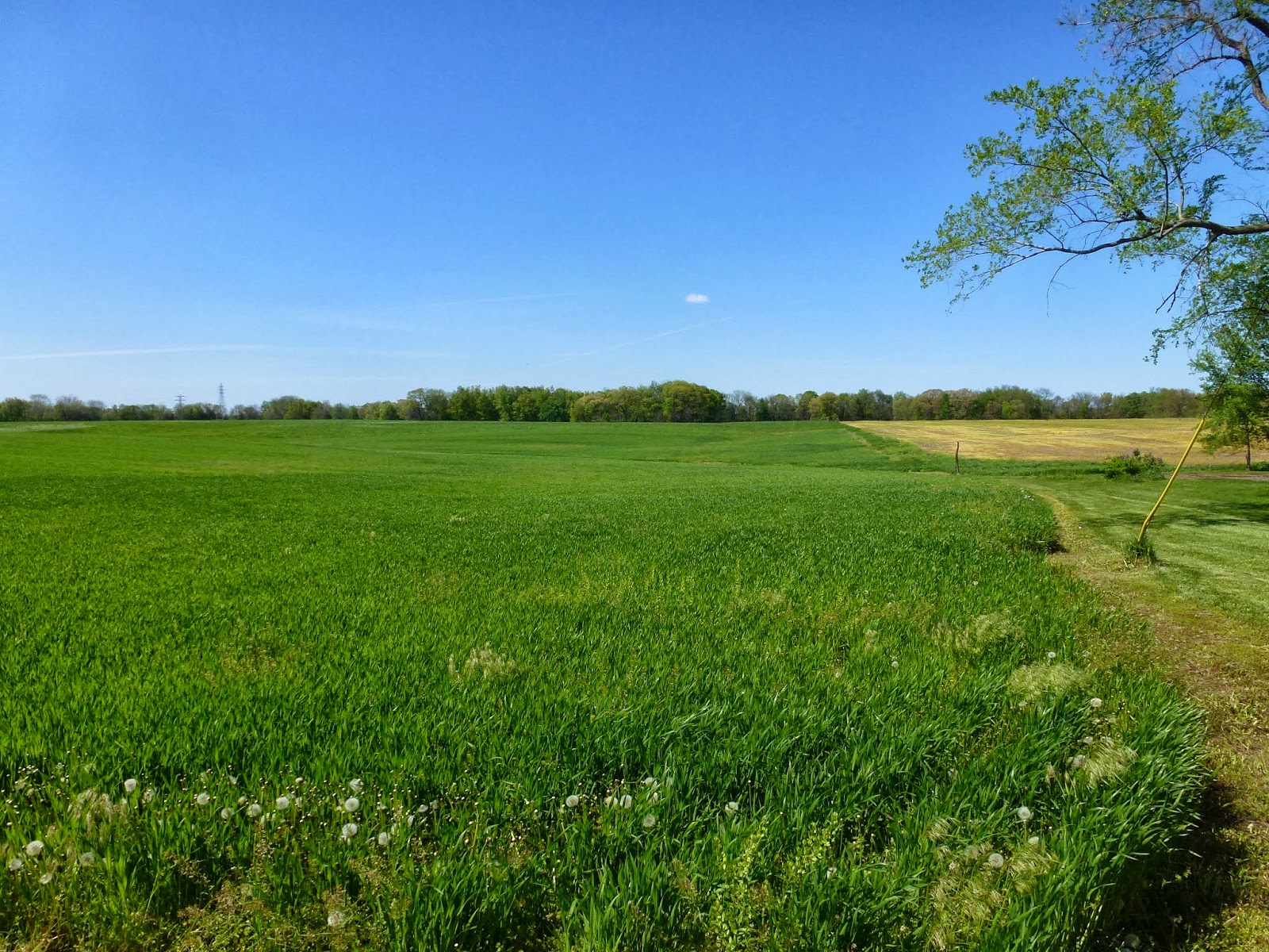 Joseph Smith Farm Nauvoo Illinois Church History LDS